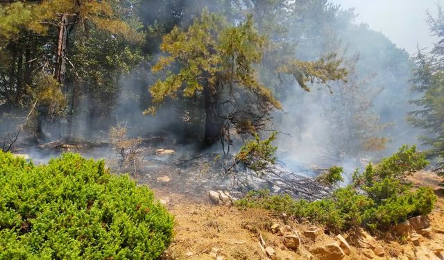 Kahramanmaraş'ta orman yangını iki bölgeye sıçradı