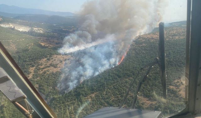 Balıkesir'de saman yüklü araçta başlayan yangın, ormanlık alana sıçradı