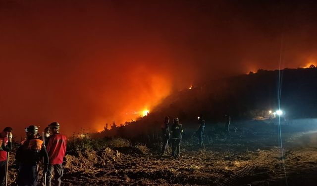Bursa Valisi duyurdu: Yenişehir’deki orman yangını kısmen kontrol altında