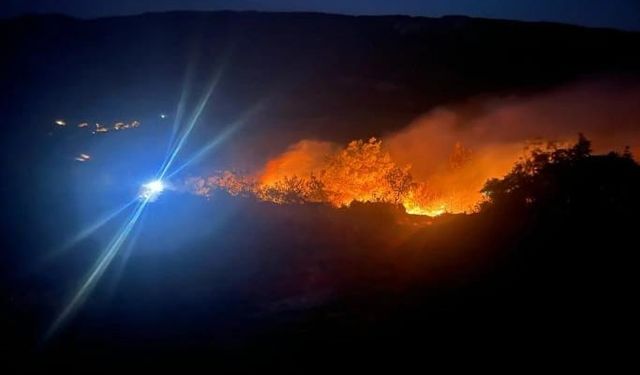 Bursa Yenişehir’deki yangın kontrol altında