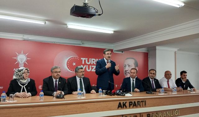 Cumhurbaşkanı Yardımcısı Cevdet Yılmaz'dan ekonomi ile ilgili flaş açıklama