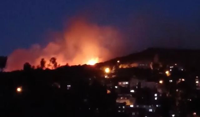 İstanbul Maltepe ilçesinde ormanlık alanda yangın