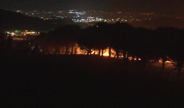 Maltepe’deki orman yangını kontrol altına alındı, 3 hektar alan zarar gördü