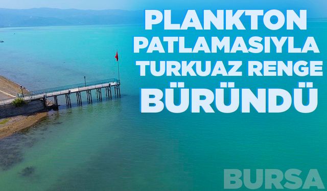 Plankton patlamasıyla İznik Gölü turkuaz renge büründü