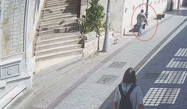 İstanbul'da sokak kedilerini asitle yakan caninin cezası belli oldu