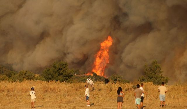 Çanakkale'de çıkan orman yangınının sebebi belli oldu