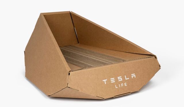 Tesla ilginç bir ürün daha piyasaya sürdü! 13 dolara kedi yatağı...