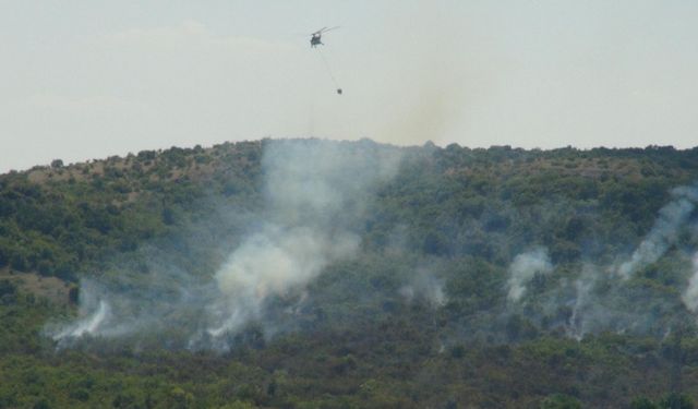 Türkiye - Bulgaristan sınırını oluşturan ormanda yangın çıktı