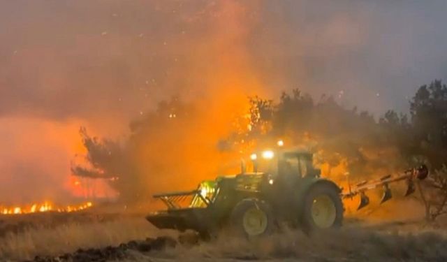 Yunanistan'da orman yangını! Acil durum ilan edildi