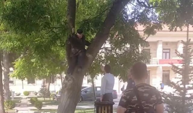 Maaşını alamayan vatandaş Eskişehir Valiliği önünde ağaca çıkarak eylem yaptı