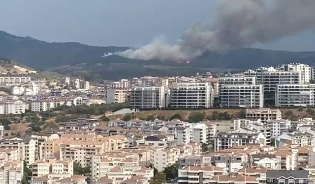 Bursa’da orman yangını! Rüzgarın etkisiyle ilerliyor