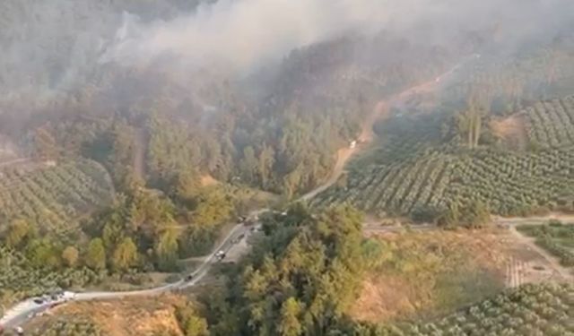 Bursa Mudanya ilçesindeki orman yangını havadan görüntülendi