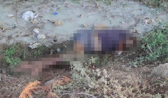 Adana Sarıçam ilçesinde dere kenarında kadın cesedi bulundu