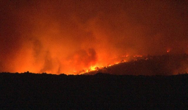 Bulgaristan - Türkiye sınırında orman yangını! Türkiye sınırına ilerliyor