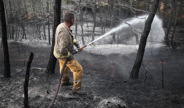 Bursa’da orman yangını kontrol altında