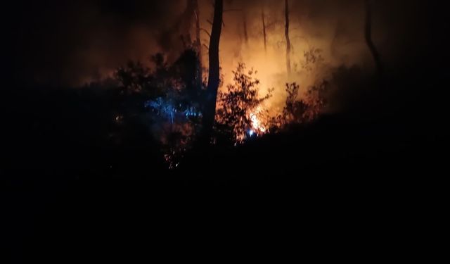 Adana İmamoğlu ilçesinde aynı bölgede bir haftada ikinci orman yangını