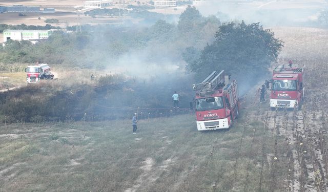 Tekirdağ Çerkezköy ilçesinde orman yangını! Yüksek gerilim hattı zarar gördü