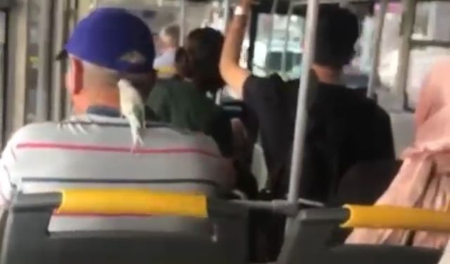 Bursa’da bir vatandaş muhabbet kuşuyla otobüse bindi