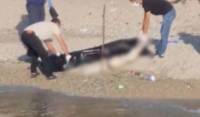 Kocaeli Kandıra ilçesinde sahilde baş, el ve ayakları olmayan kadın cesedi bulundu
