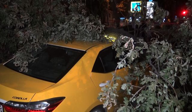 Bursa’da 2 taksi ağacın altında kaldı
