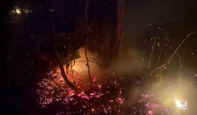 Karabük’te orman yangını devam ediyor