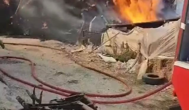 Bursa Nilüfer ilçesinde çiftlikte yem dolu depoda yangın çıktı