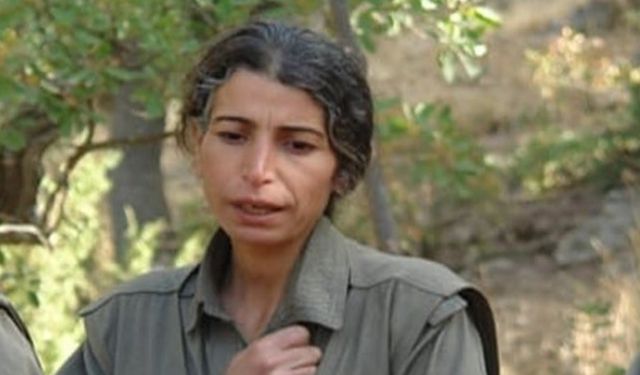 PKK'nın sözde ekonomi sorumlusu Zülfiye Binbir, öldürüldü