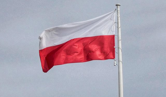 Polonya'dan Avrupa Komisyonu'na çağrı: Yasak uzatılsın