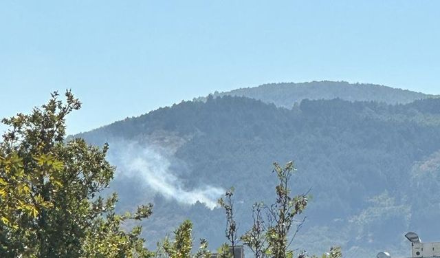 Bursa Osmangazi ilçesinde ormanlık alanda yangın çıktı