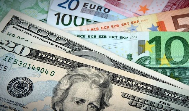 Dolar, Euro ne kadar oldu? Google doları 24 lira olarak gösterdi, gündem oldu
