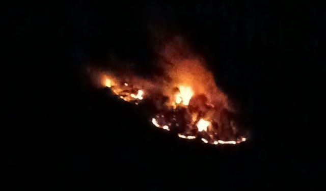 Adana Kozan ilçesinde orman yangını