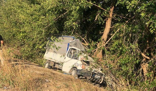Adana Kozan ilçesinde kamyonet şarampole girerek ağaca çarptı: 3 ölü