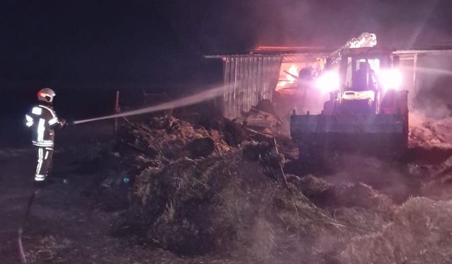 Bursa Karacabey ilçesinde koyun ağılında çıkan yangın sonucu 44 hayvan telef oldu