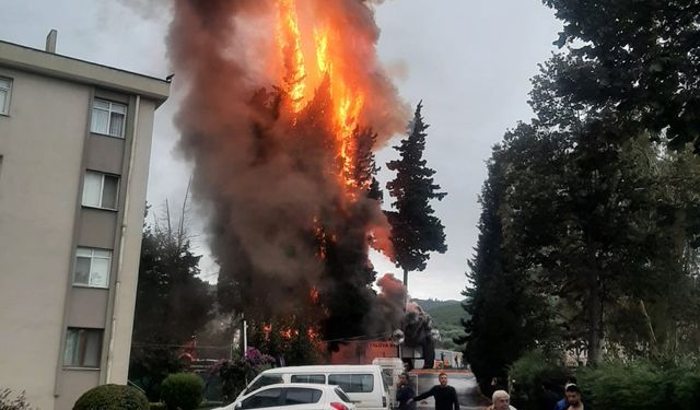 Yalovaspor futbolcularını taşıyan seyir halindeki otobüste yangın! Tahliye edildiler