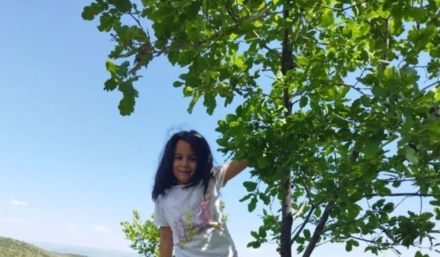 Mersin Tarsus ilçesinde 6 yaşındaki kız çocuğu Nisa Ceviz'in esrarengiz ölümü