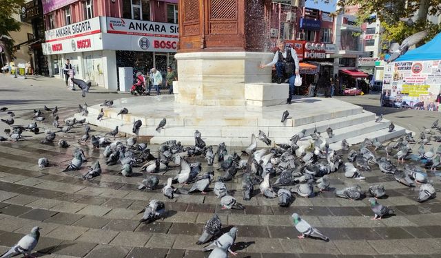 Bursa'da güvercinlerin banyo keyfi