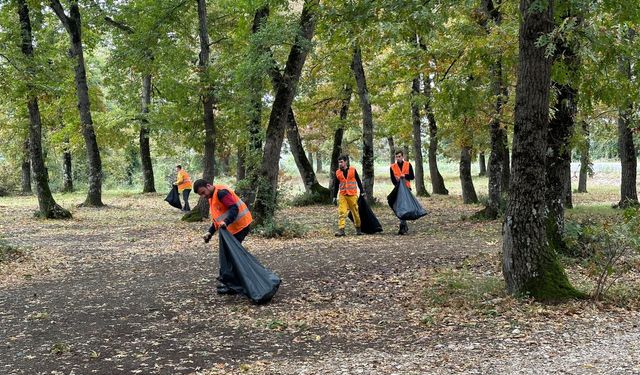 Bursa Orman Bölge Müdürlüğü Mustafakemalpaşa ilçesindeki piknikçilerin bıraktığı çöpleri topladı