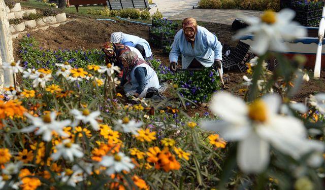Bursa Osmangazi Belediyesi ilçeyi çiçek bahçesine çeviriyor