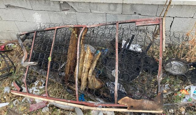 Ankara Mamak ilçesinde evsiz Hacı Yayla kendi kurduğu kulübede yanarak can verdi