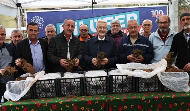 Bursa Nilüfer Belediyesi’nin desteğiyle çilek üretimi artıyor