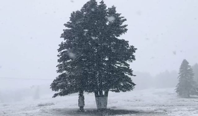 Uludağ’da kar yağışı etkili oluyor