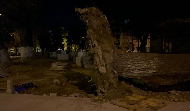 Bursa İnegöl ilçesinde şiddetli lodos sonucu 200 yıllık tarihi 2 çınar yıkıldı