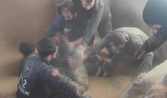 Mardin Kızıltepe ilçesinde buğday silosuna düşen 19 yaşındaki işçi feci şekilde can verdi
