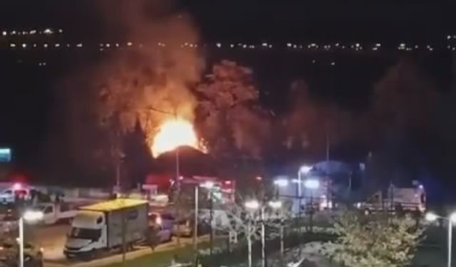 Bursa’da bir çiftlik alev alev yandı
