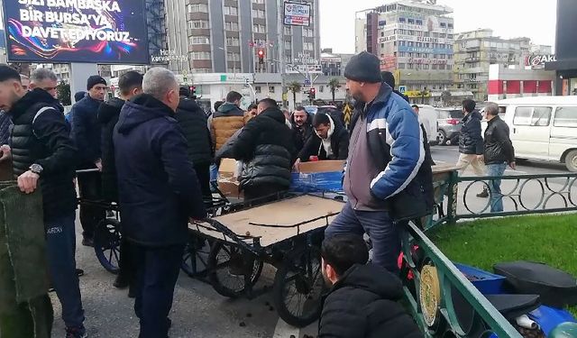 Bursa'da zabıta izinsiz ceviz ve kestane satan seyyar satıcılara göz açtırmadı