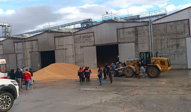Bolu'da Erpiliç fabrikasında tonlarca mısırın altında kalan işçi hayatını kaybetti