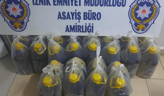 Bursa İznik ilçesinde zeytinyağı hırsızları yakalandı
