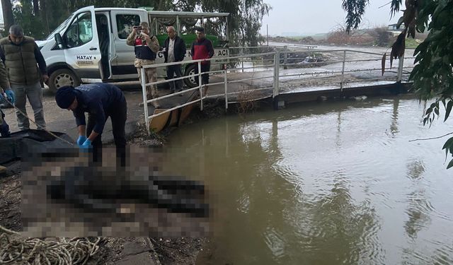 Hatay Reyhanlı ilçesinde sulama kanalında ceset bulundu