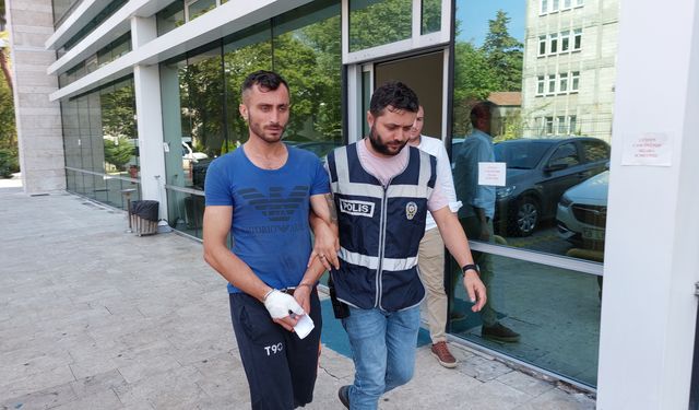 Samsun'da cinayetten yargılanan sanık: "Üzerine atlayınca bıçak saplandı, ben öldürmedim"