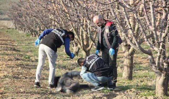 Karaman’da yaşlı adam elma bahçesinde ölü bulundu